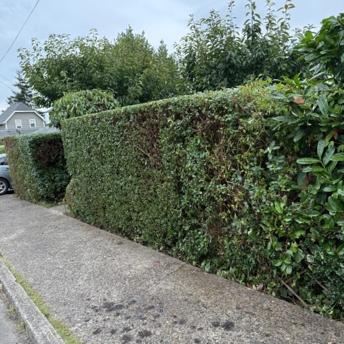 Imagen de WhatsApp 2025-10-08 a las 17.36.00_69b9707f