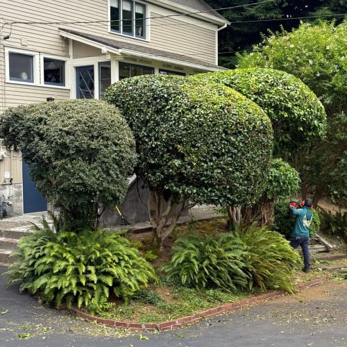 Imagen de WhatsApp 2025-10-08 a las 17.40.22_5411dcf3