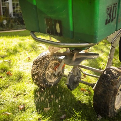 Kingstowne lawn teachnician team seeding seed overseeding 5