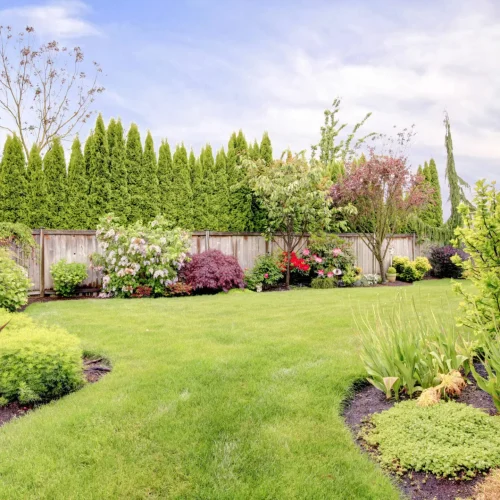 Landscaping-iStock-498015683.0-scaled
